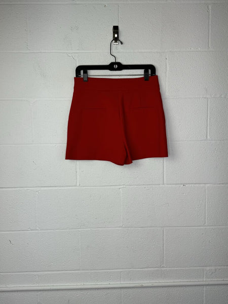 Zara Side Zip Shorts